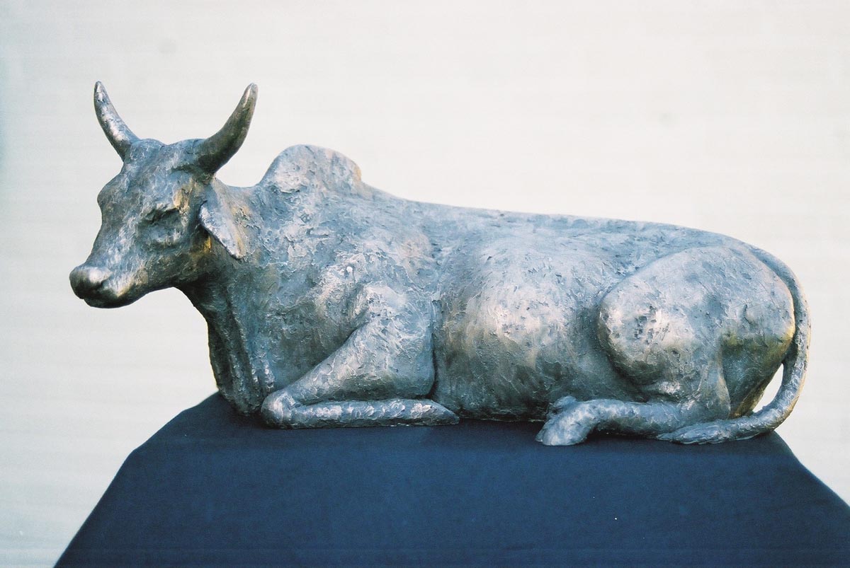 Brahmin Cow, 300mm x 100mm x 150mm, bronze resin, edition of 25